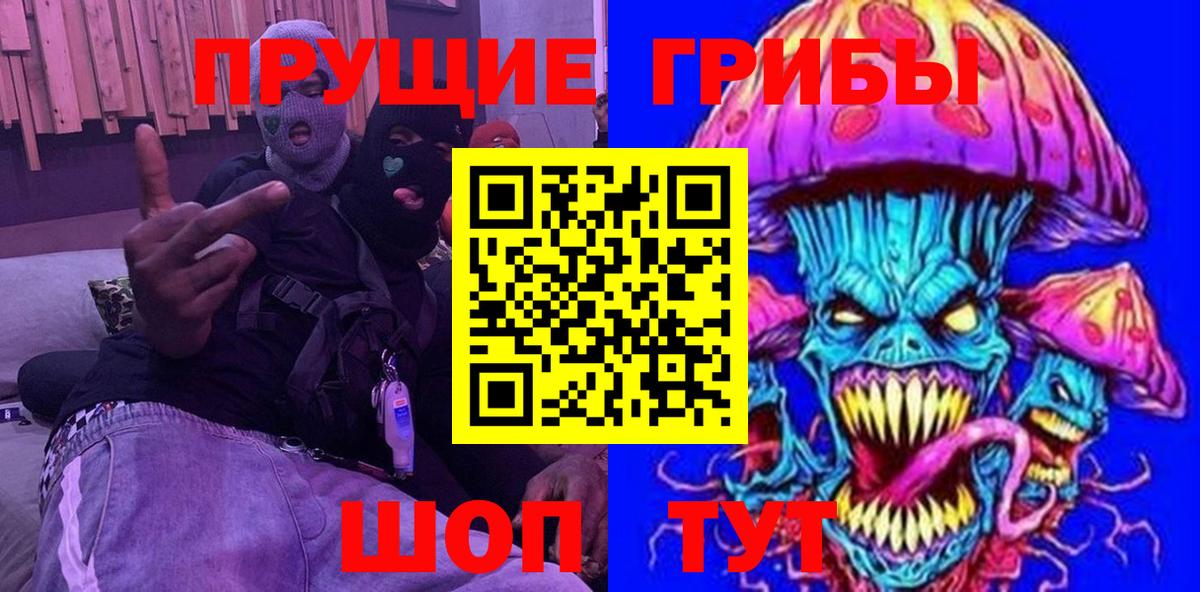 Галлюциногенные грибы Psilocybe Саратов