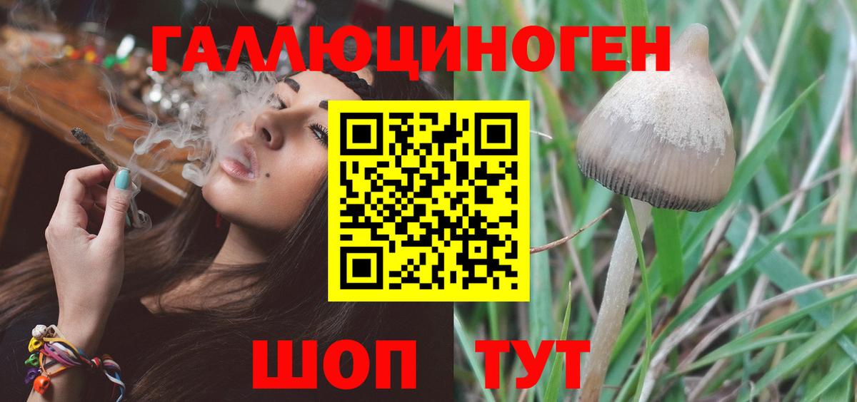 Псилоцибиновые грибы Magic Shrooms  Вход с VPN  Саратов 